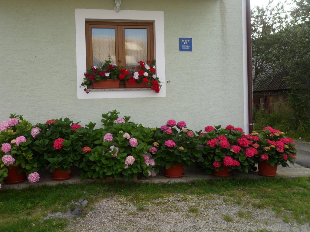Vacation Home Kuca Za Odmor Krasno Polje Rom bilde